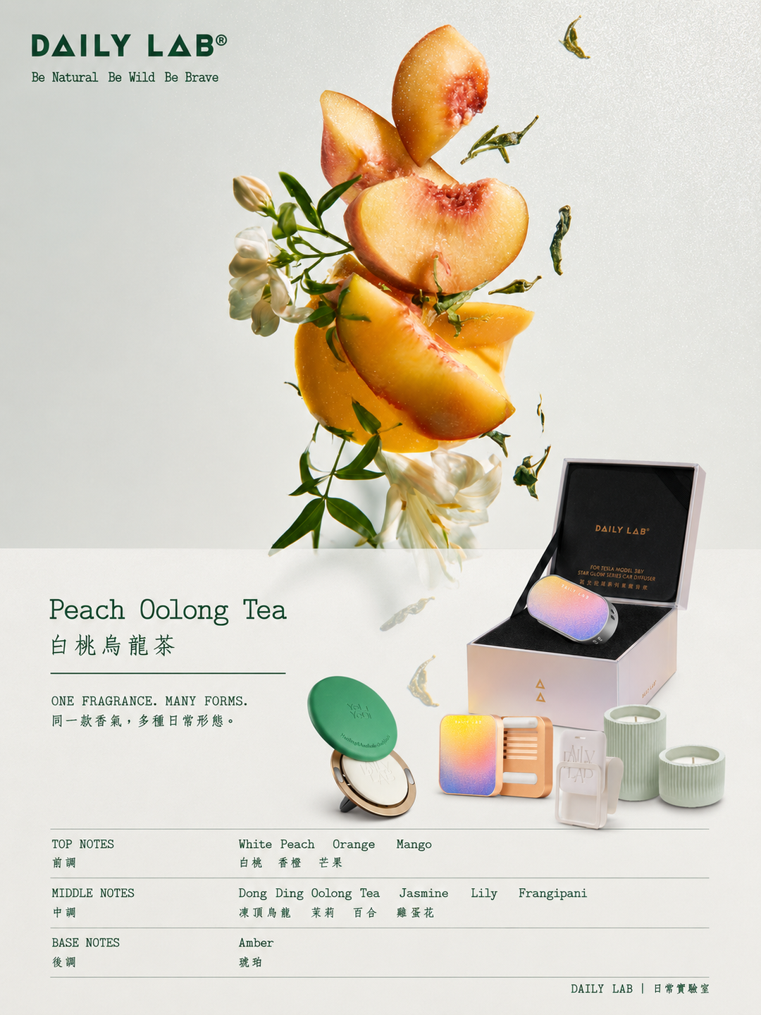 White Peach Oolong for Tesla: A Quiet, Refined Tea Directionmple