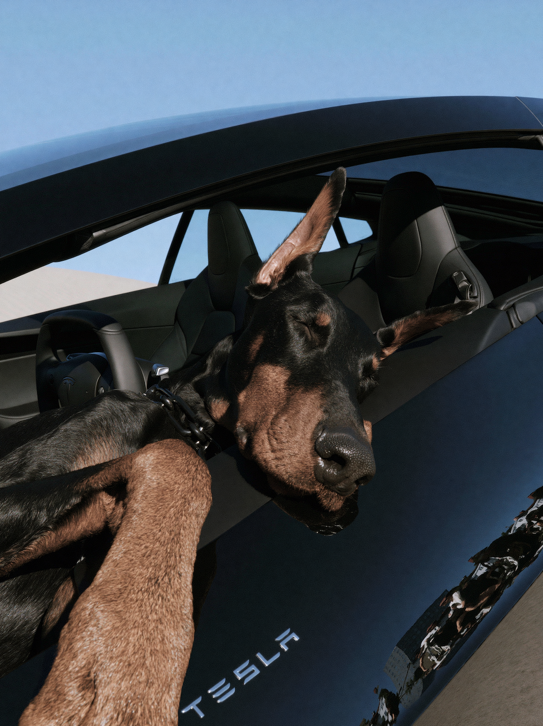 Best Scent Directions for a Tesla in Hot Weather？｜DAILY LAB