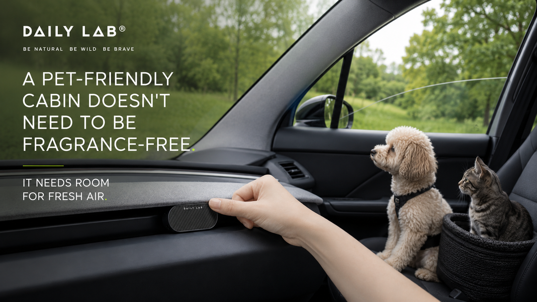 Are Car Fragrances Safe for Dogs and Cats?